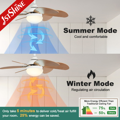 Decorative Small LED Ceiling Fan Modern 6 Wood Blade Smart Remote Control