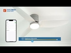 Low Profile Decorative Flush Mount Ceiling Fan With LED Light And Remote Control