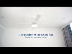 DCF-W986 35W منخفض الضوضاء 4 MDF Blade Modern Ceiling Fan LED Light لغرفة النوم