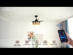 قفص الحبل الخفية شفرة سقف المروحة الضوء مع التحكم عن بعد Dc المحرك