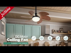 30 بوصة الهواة الداخلية LED السقف التقليدية التحكم عن بعد 6 سرعة محرك DC