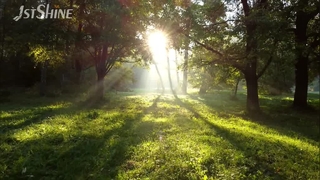 42 بوصة مروحة السقف الخفيفة الحديثة فلوش جبل